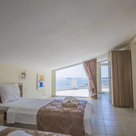 Kaplan 2 Kalkan